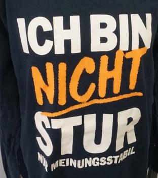 Langarmshirt Gr. 140 von Kidsworld (545)